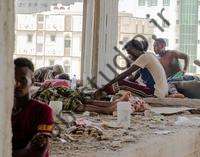 ما نباید به مهاجران سرگردان در یمن پشت کنیم |