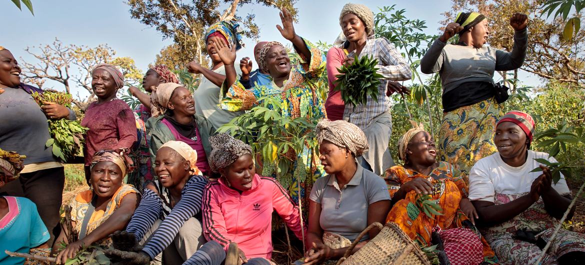 یک تعاونی زنان در شهرک یوکو، کامرون در حال تشکیل است.