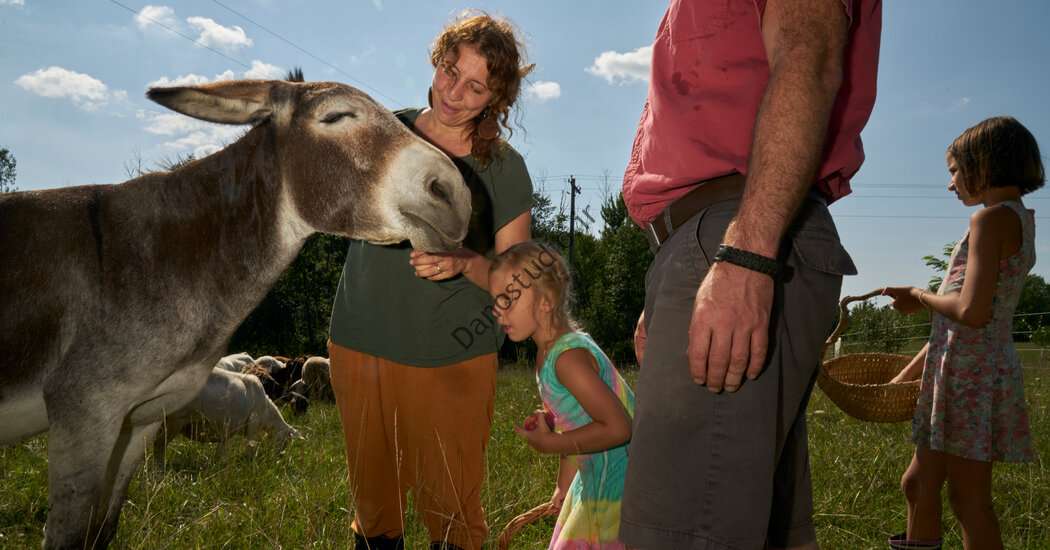 نظر |  آموزش در آمریکا: مدرسه برای اتصال به طبیعت است