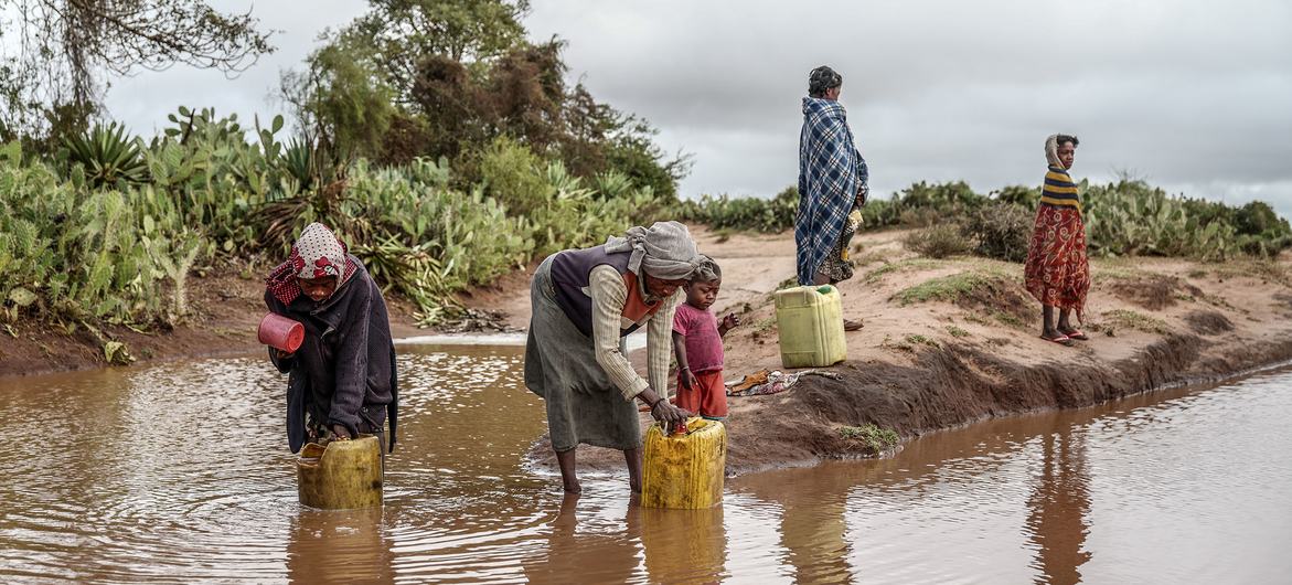 خانواده‌ای که در اثر خشکسالی کوبیده شده‌اند، آب باران را در جنوب ماداگاسکار جمع‌آوری می‌کنند، جایی که گاهی اوقات چاله‌ها برای استفاده شخصی یا فروش تهیه می‌شوند.